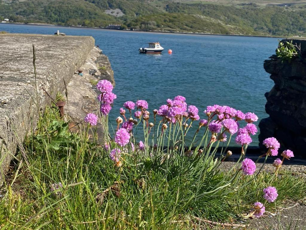 No6 Bed and Breakfast Barmouth Εξωτερικό φωτογραφία